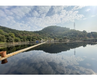 市政污水·穩定達標且不增加處理費用—庫巴魯