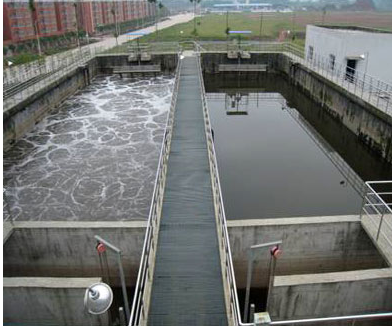 強化消毒下,水廠生化系統如何應對