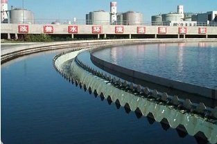 反硝化浮泥該如何預(yù)防？你知道嗎？