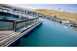 高濃度、高氨氮、難降解廢水生物處理技術經驗總結