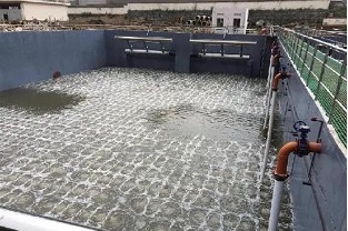 碳源的價(jià)格水漲船高，污水廠如何減少碳源投加量來降低成本？