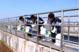 反硝化菌在污水處理中的作用是什么？