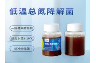 反硝化細(xì)菌在污水處理中的具體應(yīng)用是什么？