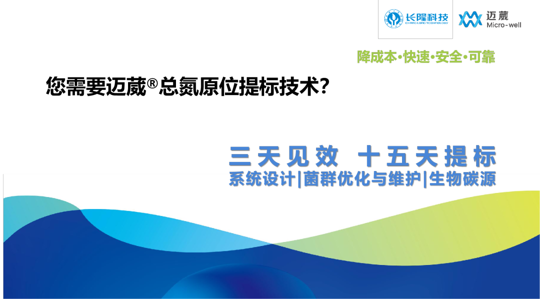 邁葳總氮提標技術