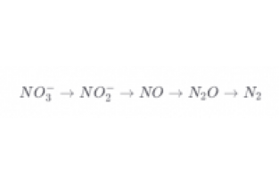 總氮激活菌應(yīng)用及反硝化原理